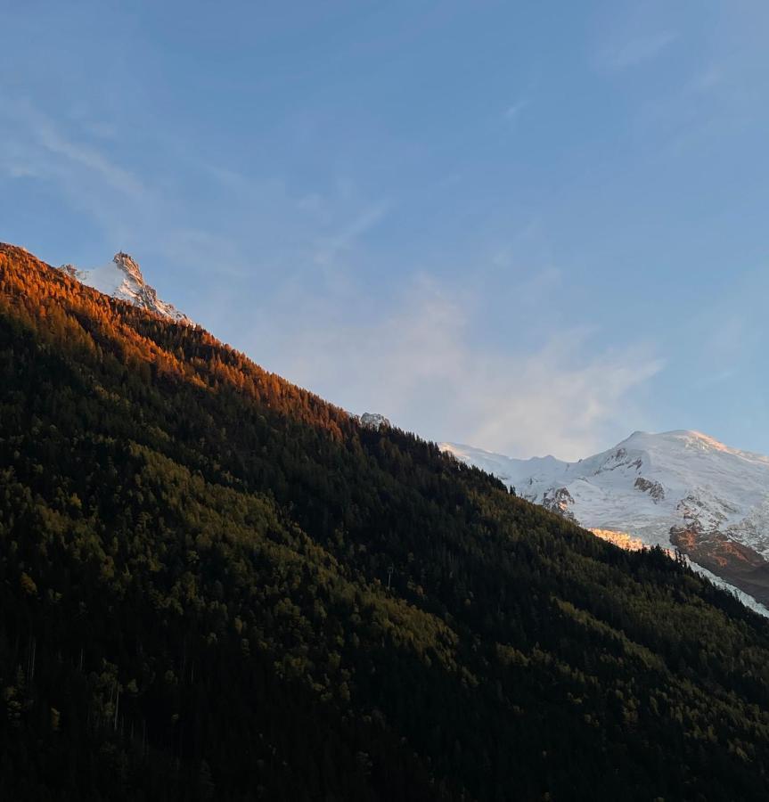 Center & Unique Mountain View Apartment Chamonix Ngoại thất bức ảnh